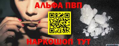 индика Новодвинск