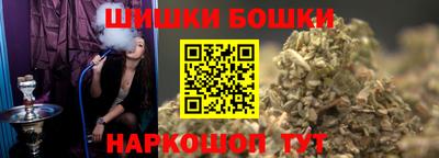 индика Новодвинск