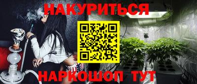 индика Новодвинск