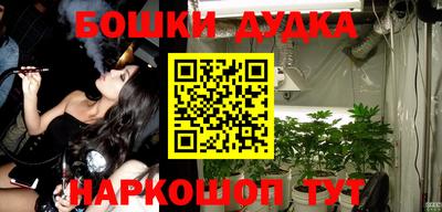 МДПВ Новокубанск