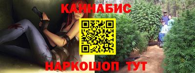 индика Новодвинск