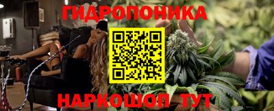 индика Новодвинск