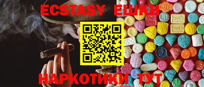 индика Новодвинск