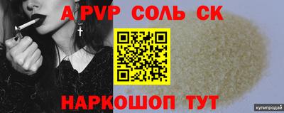 индика Новодвинск